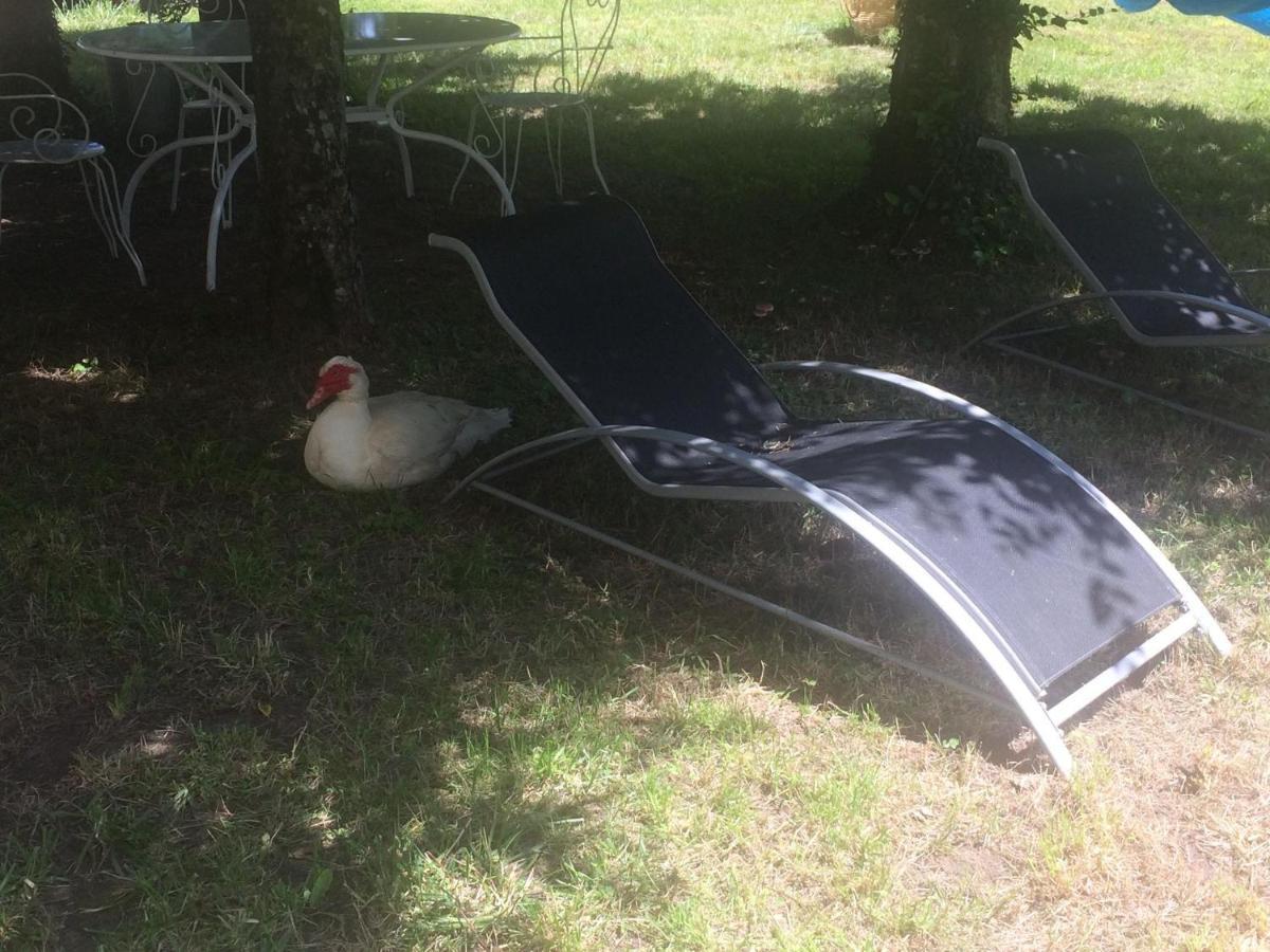 Maison De Vacances Cronat - Au Bord De L'Eurovelo 6 Dış mekan fotoğraf